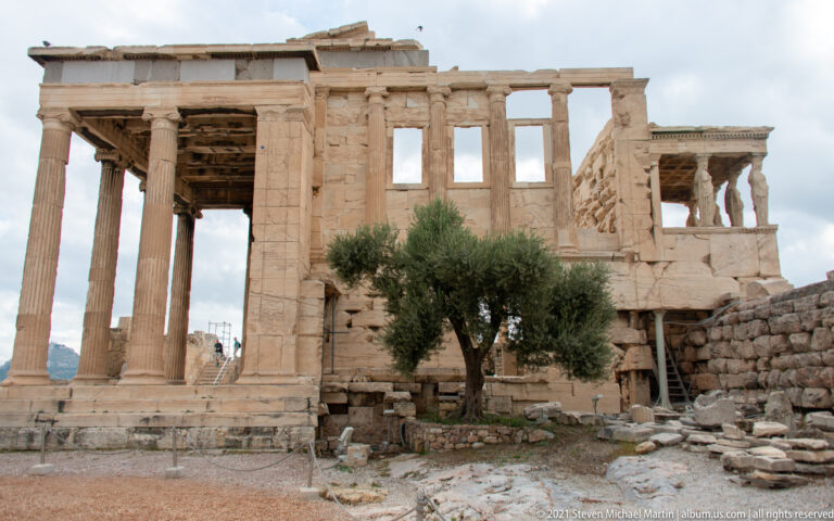 Erechtheion seen from the north with Ionic porch at left, olive tree in front, and the Caryatid porch projecting at right.