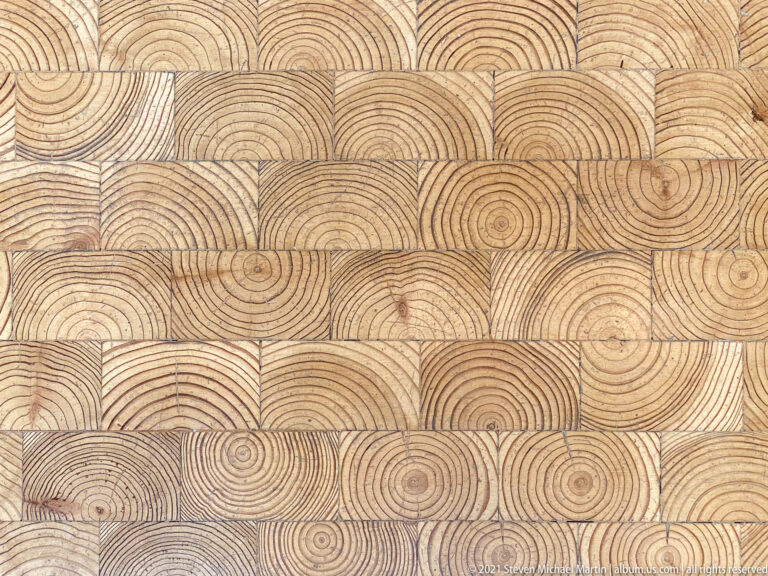 Close view of a geometric surface patterned with repeated concentric circles and semicircular fan motifs.