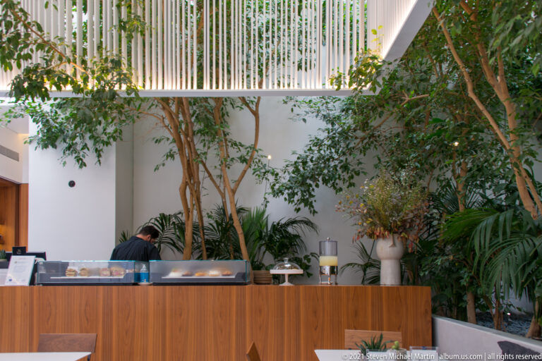 Wood reception counter beneath tall indoor trees and dense foliage, with a staff member working behind the desk.