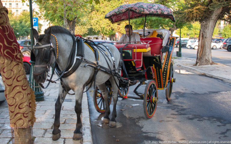 Gray harnessed horse beside a colorful red-seated touring carriage with canopy and spoked wheels on a shaded Corfu street.