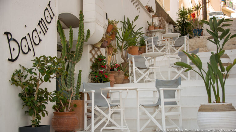 White stepped café terrace crowded with cactus, palms, flowering plants, terracotta pots, and white tables and chairs.