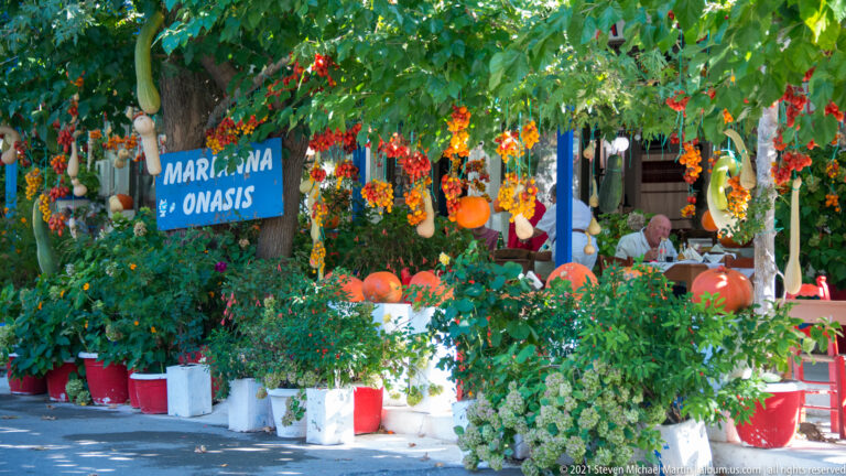 Blue hand-painted sign beneath a leafy tree, surrounded by hanging gourds, flowers, planters, and a shaded taverna garden.