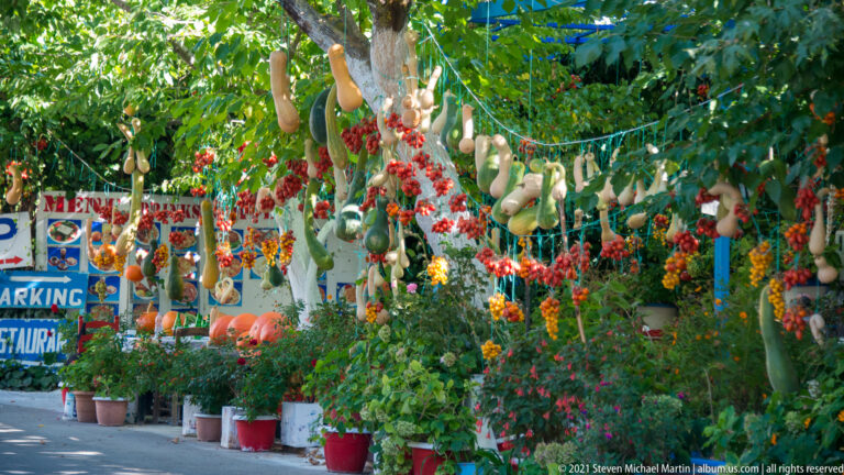 Roadside taverna frontage filled with hanging gourds, red flowers, potted plants, and menu signs beneath leafy trees.