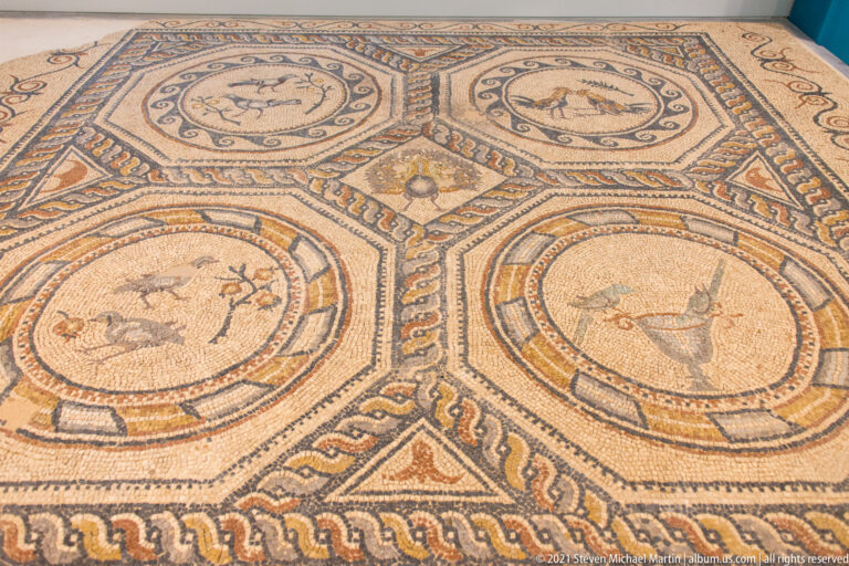 Ancient floor mosaic with circular animal and bird medallions enclosed by geometric and braided borders.