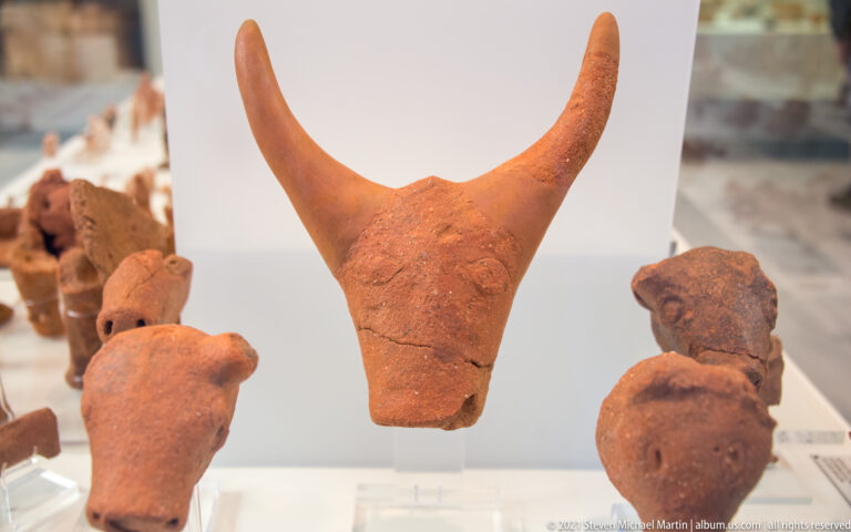 Terracotta bovine head with very long upward-curving horns, displayed among smaller animal fragments.