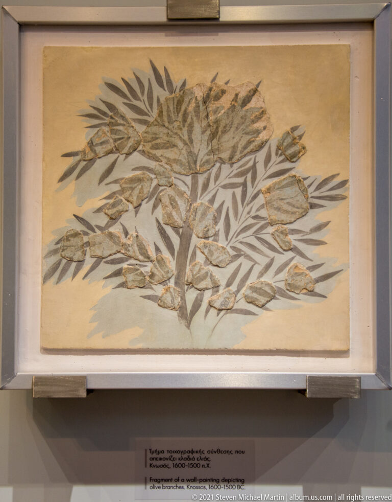 Framed Minoan fresco fragment with branching stems and clusters of long narrow leaves on a pale background.