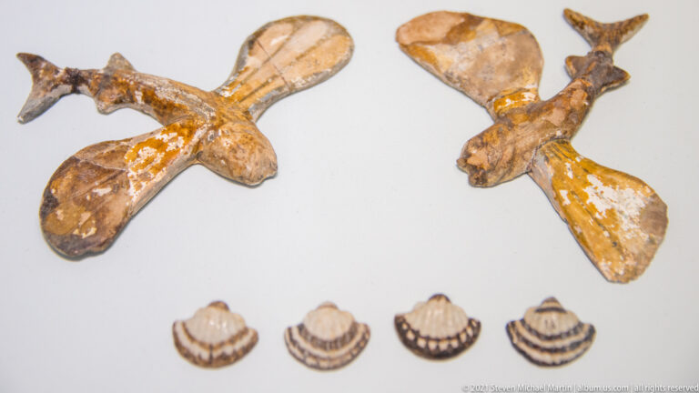 Two small flying-fish ornaments displayed above four striped shell-shaped pieces on a pale museum mount.