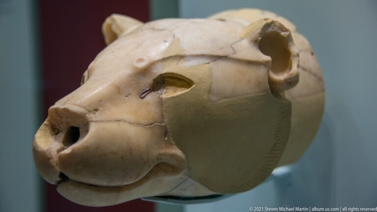 Translucent white limestone lioness-head rhyton from Knossos with broad muzzle, rounded ear, and restored sections.