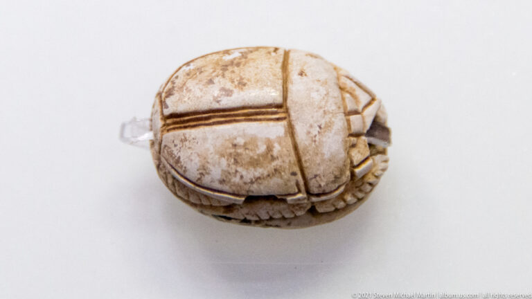 Small pale scarab-shaped carved object seen from above, with grooved wing cases and modeled legs.