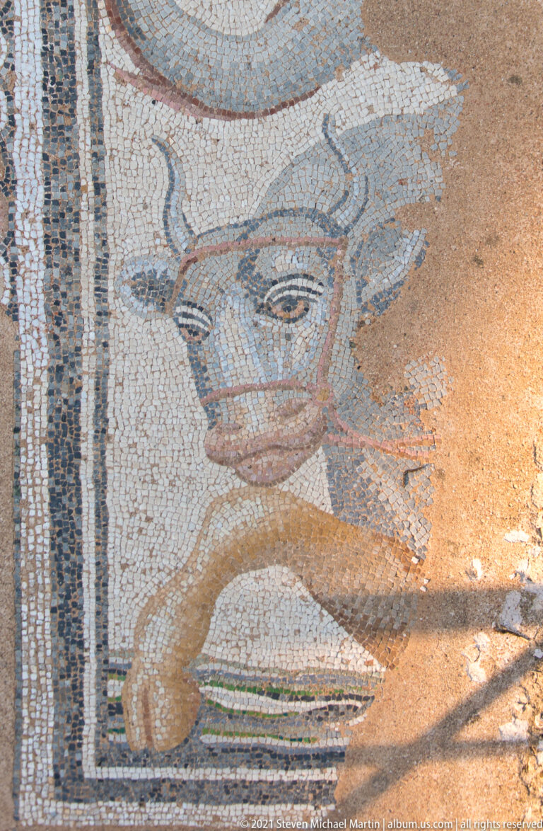 Fragmentary mosaic showing an animal-featured or horned head beside a curved vessel, framed by narrow patterned borders.