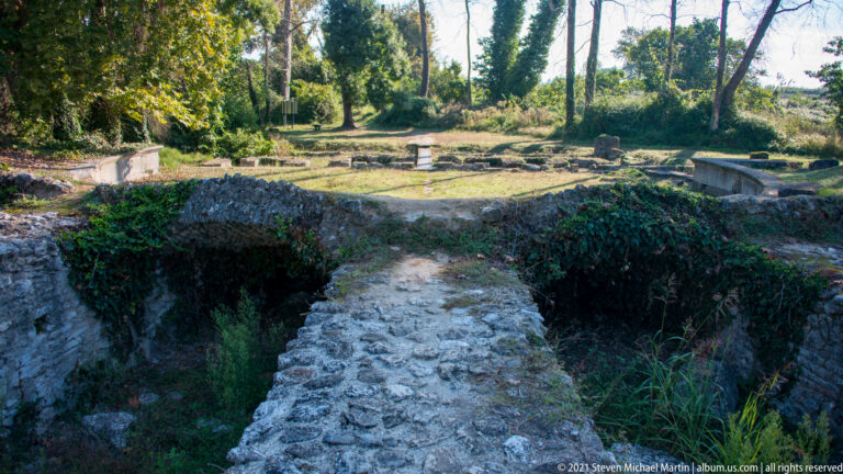 Deep stone-lined rooms and channels with ivy-covered walls in a wooded excavated area at Dion.