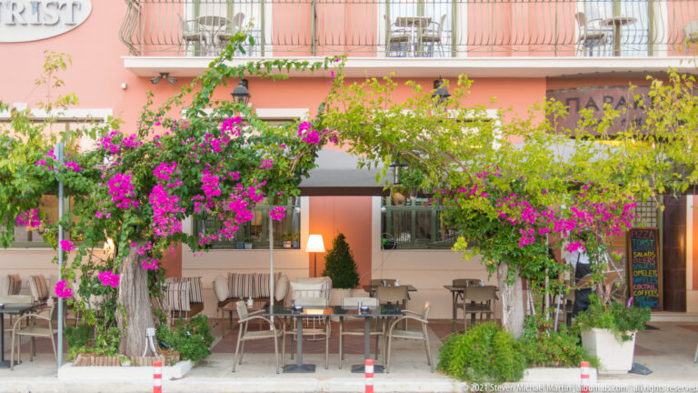 Outdoor café tables beneath abundant magenta bougainvillea climbing across a pastel building façade.