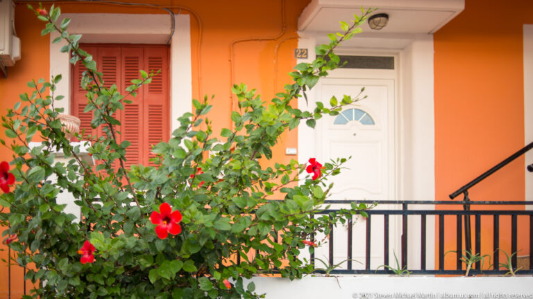Red hibiscus flowers and leafy branches partly screen an orange house with red shutters, white door, and black railings.