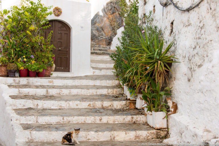 Whitewashed stepped lane in Lindos lined with potted plants and rock, with a small cat resting on a lower step.