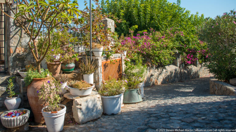 Cobbled Lindos path lined with ceramic pots, leafy plants, and flowering bougainvillea beside rough stone walls.
