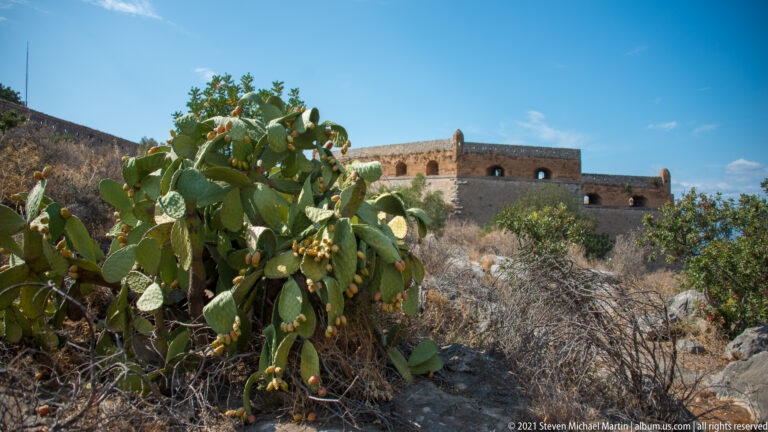 Large prickly pear cactus amid dry scrub, with stone walls of Palamidi Fortress extending across the ridge behind.