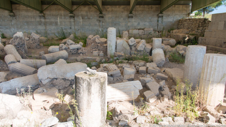 Numerous column drums, fluted shafts, blocks, and stone fragments stored beneath a protective roof.
