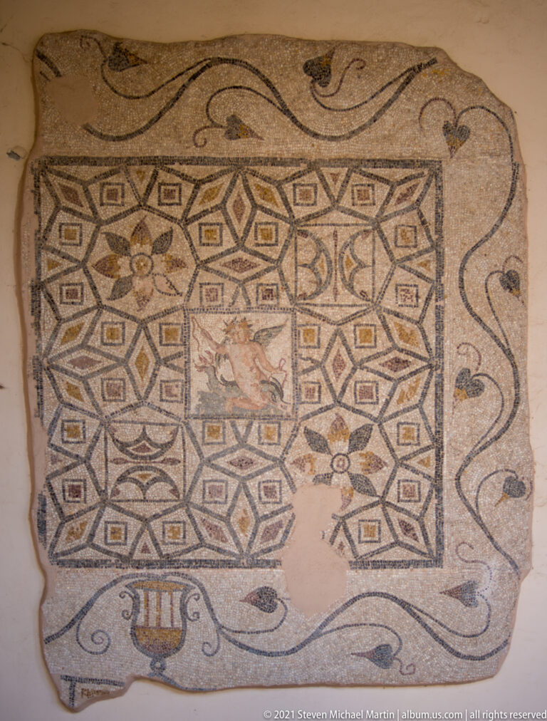 Rectangular mosaic with interlocking geometric compartments, small central panels, and curling vegetal motifs around the border.