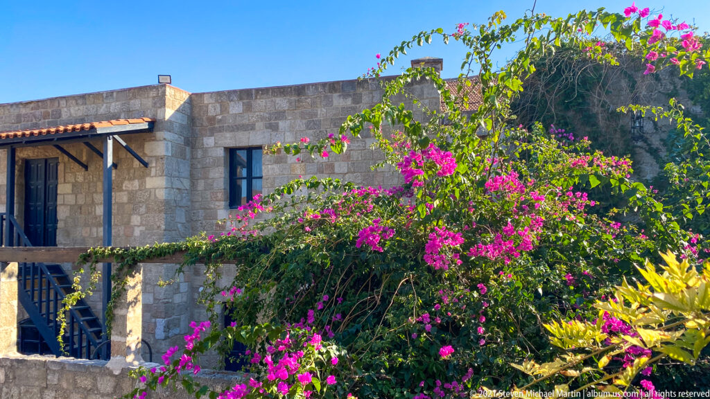 Magenta bougainvillea climbing across a sunlit stone museum building with windows, balcony details, and surrounding greenery.