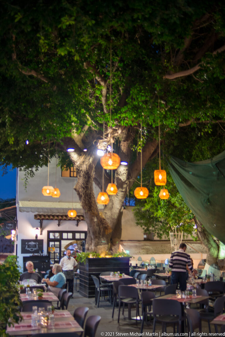 Restaurant courtyard at night with tables beneath a large tree hung with warm pendant lamps.