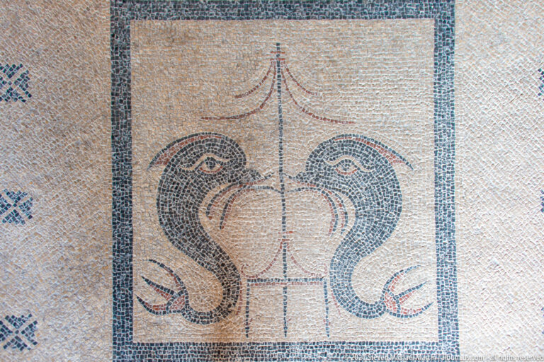 Mosaic detail with two facing birds beside a central vessel and vertical motif, enclosed by a dark geometric border.
