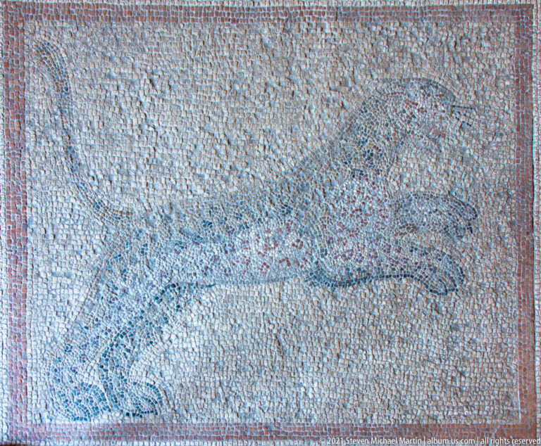 Worn rectangular mosaic with a faint curving animal-like figure and scattered colored tesserae inside a narrow border.