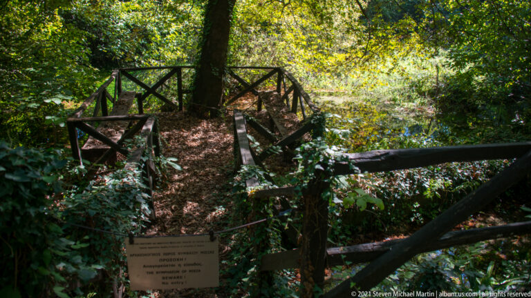 Shaded wooden footbridge and railings among dense trees and leaf litter, with a small sign beside the visitor path.