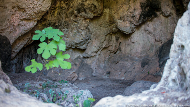 Interior of a shallow rocky recess with an uneven limestone wall, bare earth floor, and green plant near the entrance.