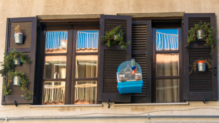 Dark shuttered window with small plants and a bright blue birdcage hanging at the center.