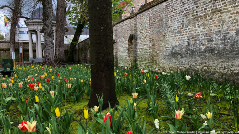 Red, yellow, and white tulips beneath trees beside a weathered brick-and-stone wall in Antwerp.