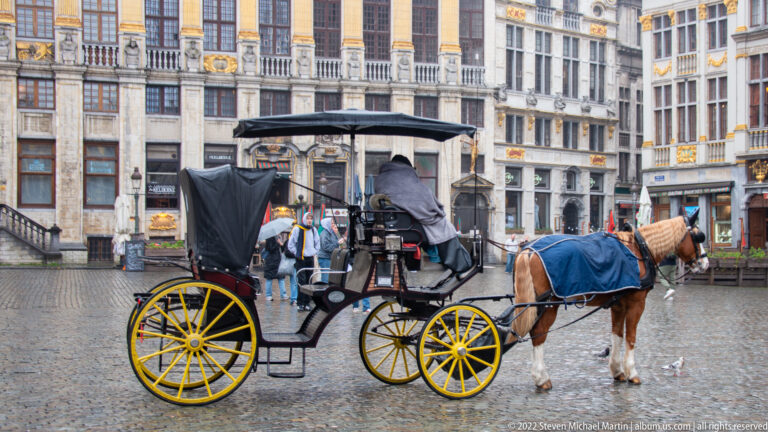 Horse-drawn tourist carriage with yellow wheels standing on wet Grand-Place cobbles, historic façades behind it.
