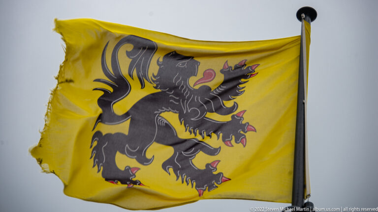 Yellow flag with the black rampant Lion of Flanders, red claws and tongue, blowing against a gray sky.