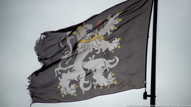 Dark frayed flag with a large pale crowned heraldic lion and small yellow and red details.