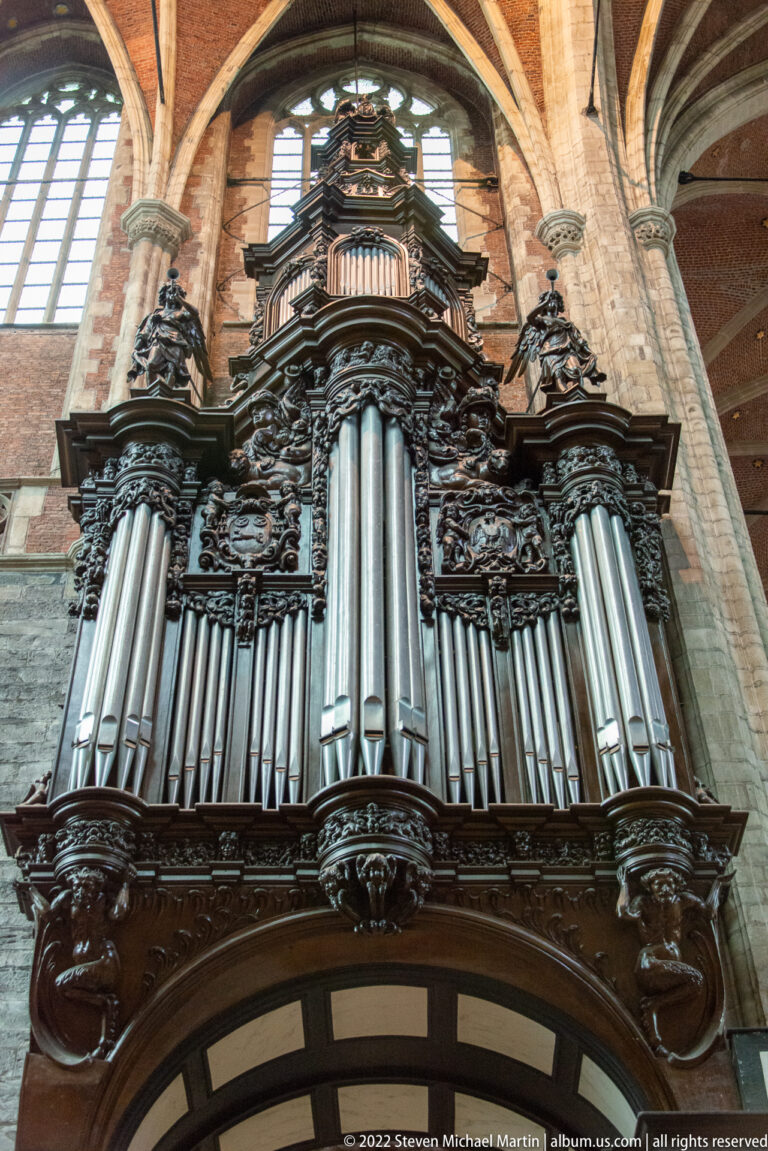 Large cathedral pipe organ with silver pipes and an elaborate dark carved wooden case viewed from below.