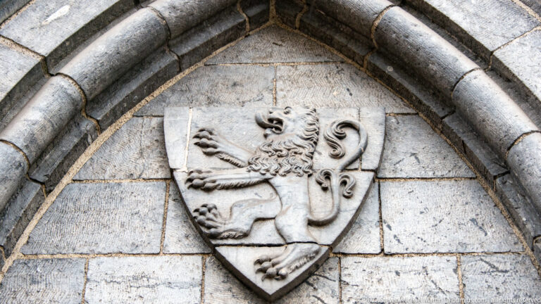 Stone shield carved with a rampant lion beneath a pointed masonry arch.