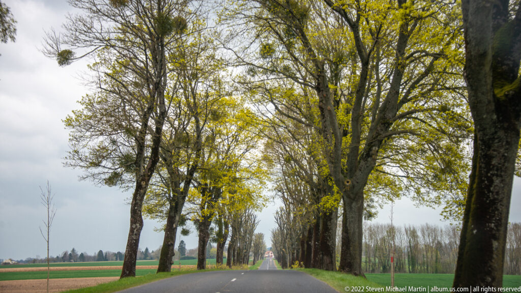Straight road lined by mature trees leads toward the distant cemetery entrance through open countryside.