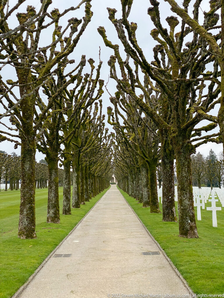Straight cemetery road lined by pollarded trees, with white grave crosses visible on the lawns beyond.