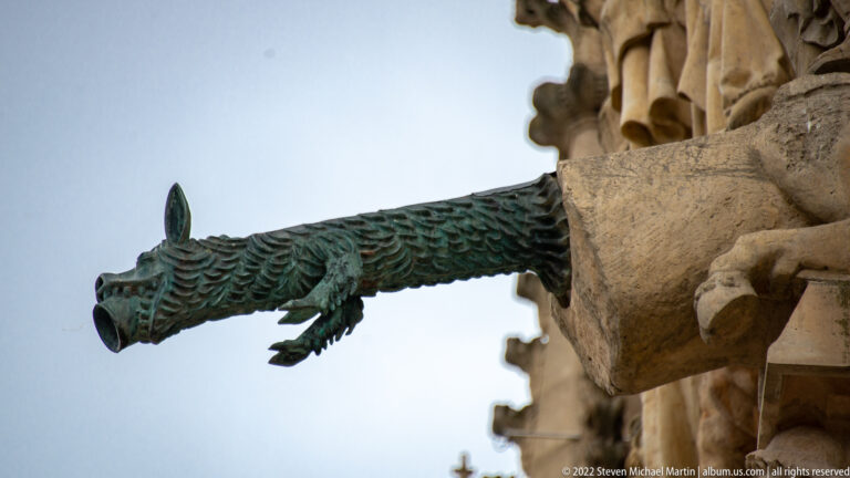 Long dragon-like gargoyle with scaled body and open snout projecting horizontally from Reims Cathedral against the sky.