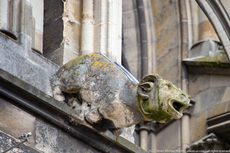 Weathered stone gargoyle with an open drainage mouth projecting from a Gothic church wall, mottled with yellow lichen.