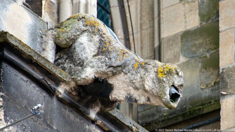 Side view of an eroded animal-shaped stone gargoyle with open mouth and yellow lichen on a Gothic exterior.