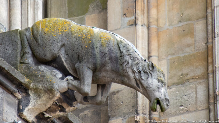 Long-bodied horse-like stone gargoyle projecting from a Gothic church buttress, with head lowered and mouth open.