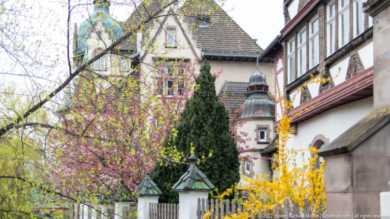 Historic half-timbered buildings and an onion-capped tower partly screened by yellow and pink spring blossoms.