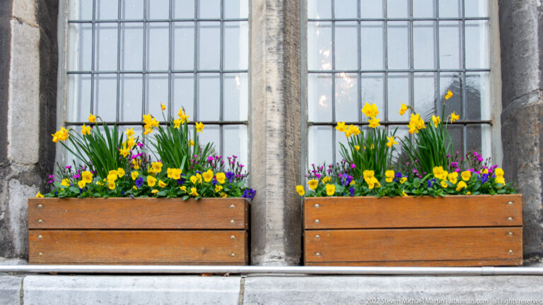 Two wooden flower boxes with yellow and purple spring flowers beneath tall leaded stone windows.
