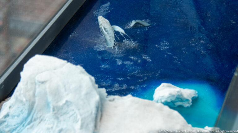 Miniature whales surface in dark blue water beside a large white iceberg and smaller floating ice.
