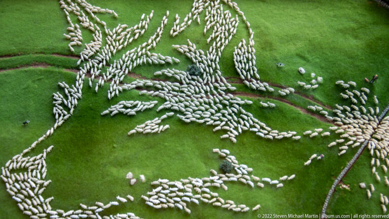 Large miniature flock of white sheep forms branching patterns across green pasture crossed by dirt paths.