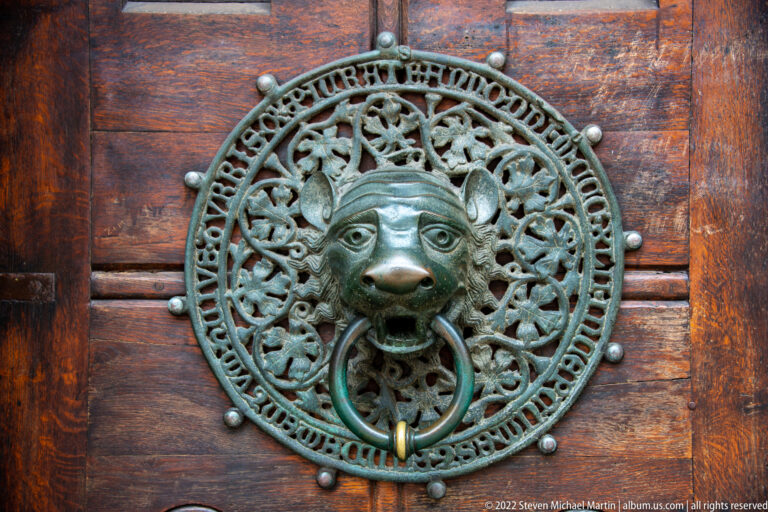 Bronze lion-head door knocker with ring and intricate circular openwork mounted on a dark wooden door.