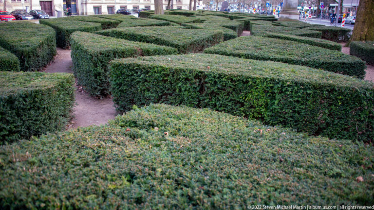 Low clipped evergreen hedges arranged in geometric compartments with narrow paths between them.