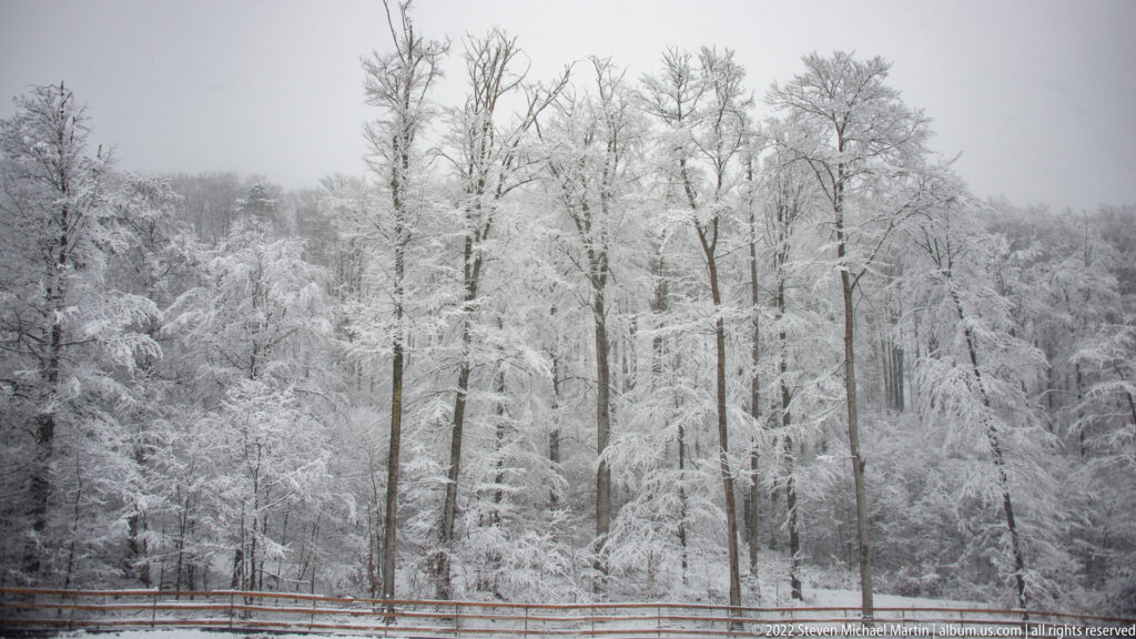 Snow-covered deciduous woodland behind a wooden rail under an overcast winter sky near Maulbron.