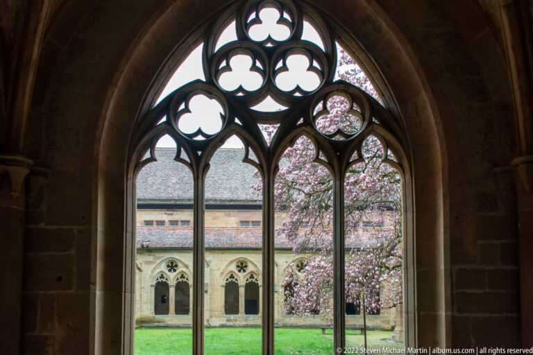 Gothic tracery window framing a green cloister courtyard, opposite arcade, and flowering tree.