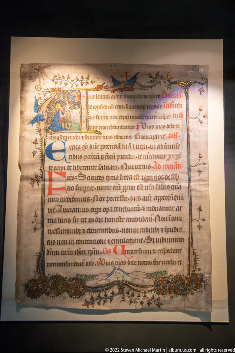 Latin manuscript leaf with a painted initial, dense black script, red and blue rubrication, and delicate floral border decoration.